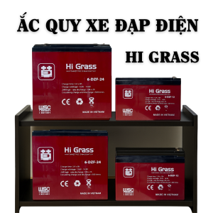 ẮC QUY XE ĐẠP ĐIỆN HI GRASS - BẢO HÀNH 12 THÁNG(đổi phồng 6 tháng)