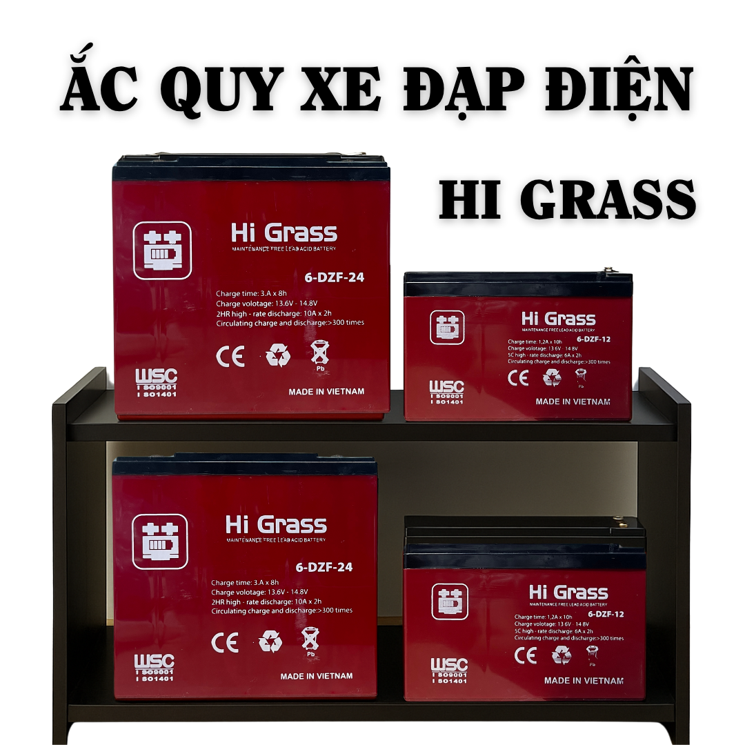 ẮC QUY XE ĐẠP ĐIỆN HI GRASS - BẢO HÀNH 12 THÁNG(đổi phồng 6 tháng)